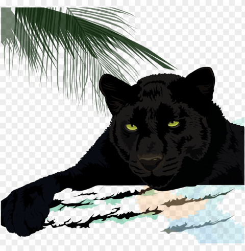 black cougar leopard jaguar - jaguar puma black panther panther Clear image PNG