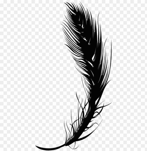 black feather pen PNG Graphic Isolated on Clear Background Detail