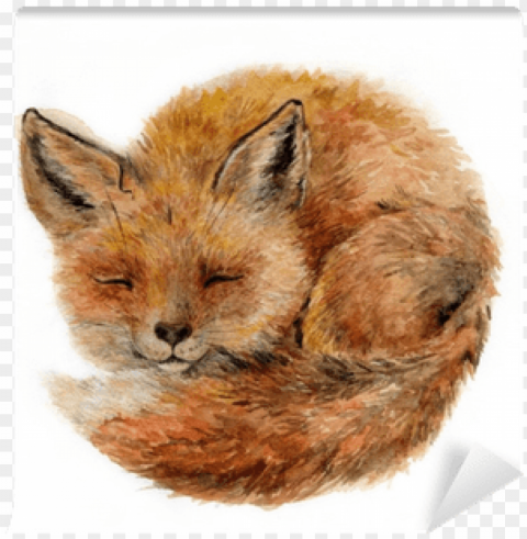 black forest decor baby fox indooroutdoor pillow Transparent PNG images bulk package