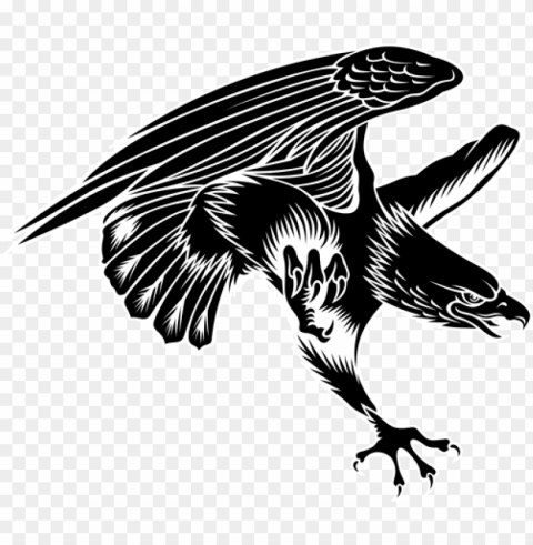black hawk bird tattoo Clear Background PNG with Isolation