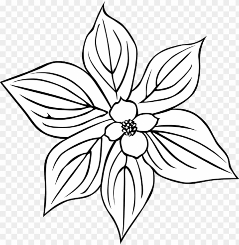 black outline plants flower flowers outlines - outline of a flower PNG Image with Transparent Background Isolation