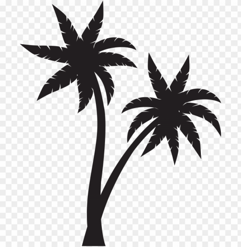 Black Palm Tree Download PNG Image Isolated With Transparent Detail