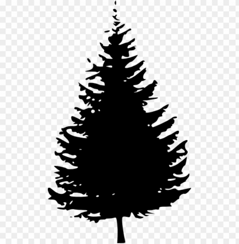 black pine tree clipart - evergreen tree silhouette Isolated Design Element in Clear Transparent PNG
