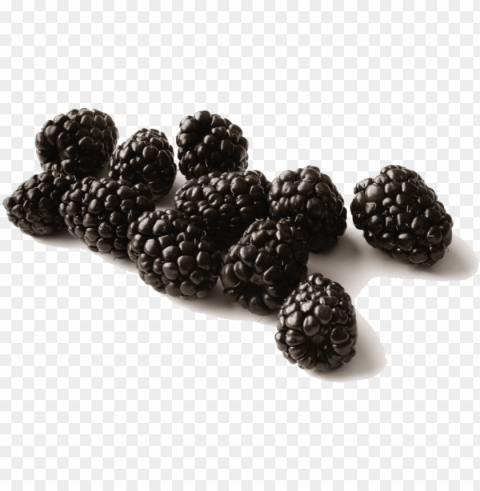 black raspberries background - black raspberries PNG Image Isolated on Transparent Backdrop