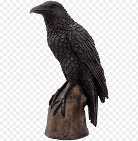 black raven bird on stump statue cold cast resin figurine Clear PNG graphics