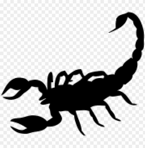 black scorpion tattoo Transparent art PNG