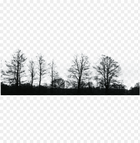 black tree image - black and white trees Transparent PNG artworks for creativity