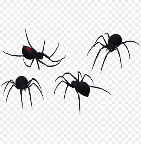 black widow spider graphic royalty free stock - black widow spider vector Clear background PNG elements