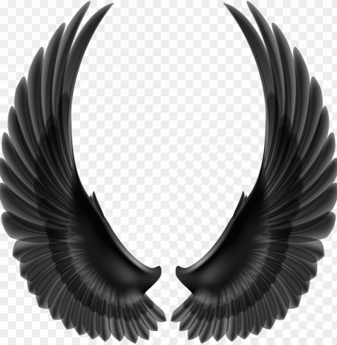 Black Wings Transparent Background PNG With Alpha Channel