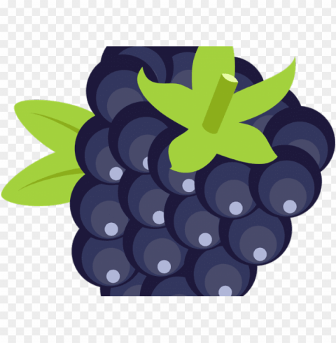 blackberry fruit transparent images - blackberry fruit icon PNG for digital art PNG transparent with Clear Background ID 6fa76c2a