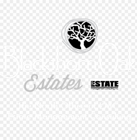 blackthorn oak estates - tree necklace HighResolution Transparent PNG Isolated Item PNG transparent with Clear Background ID 41ef1286