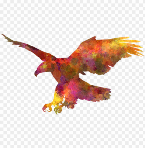 bleed area may not be visible - abstract watercolour painting eagle Transparent design PNG