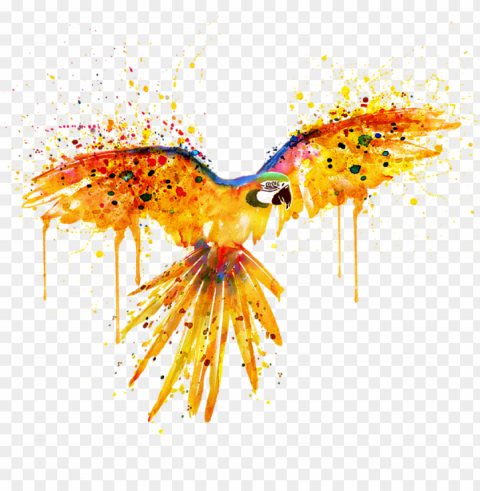 bleed area may not be visible - parrot watercolor flyi Clear image PNG