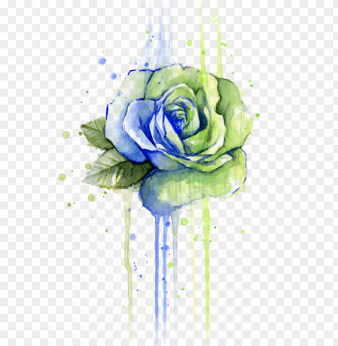 Bleed Area May Not Be Visible - Seattle 12th Man Seahawks Watercolor Rose Isolated Element With Clear Background PNG