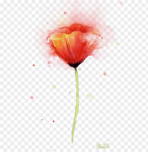 bleed area may not be visible - watercolor painti PNG Image with Isolated Graphic