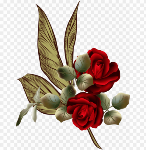 blog - rose Isolated Object on Transparent PNG PNG transparent with Clear Background ID 333c666b