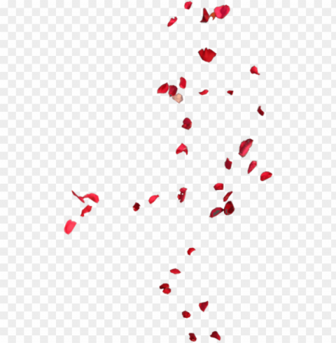 blowing rose pedals - rose leaves flying Isolated Subject with Clear Transparent PNG