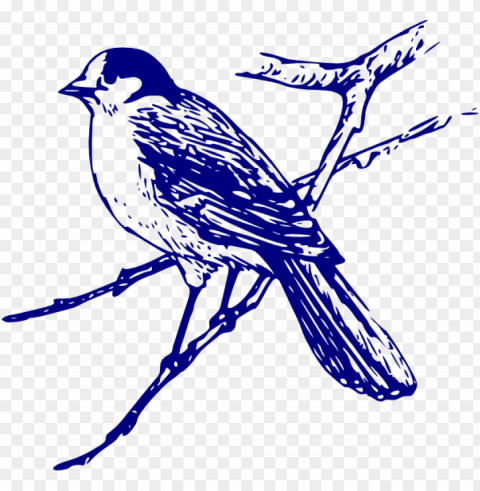 blue bird images free HighResolution PNG Isolated Illustration