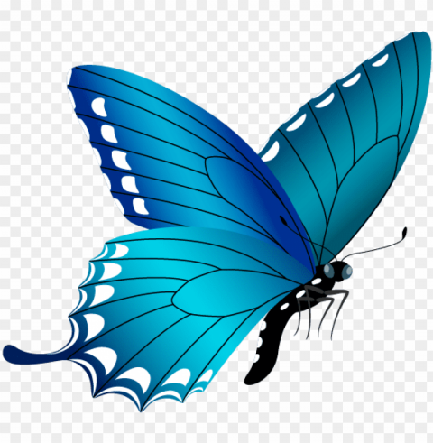blue butterfly image - butterfly clipart Free PNG images with alpha channel