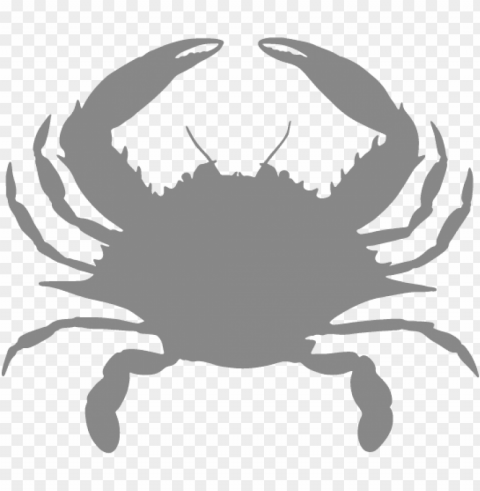 blue crab eyes PNG for mobile apps