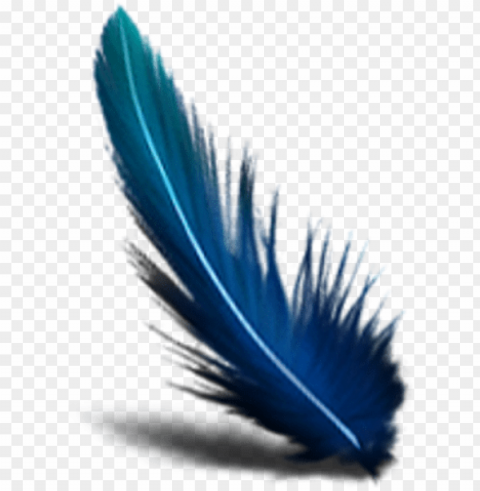 blue feather transparent background PNG graphics with transparency PNG transparent with Clear Background ID 414337db