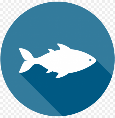 blue icon of a fish - seafood icon Transparent PNG images with high resolution