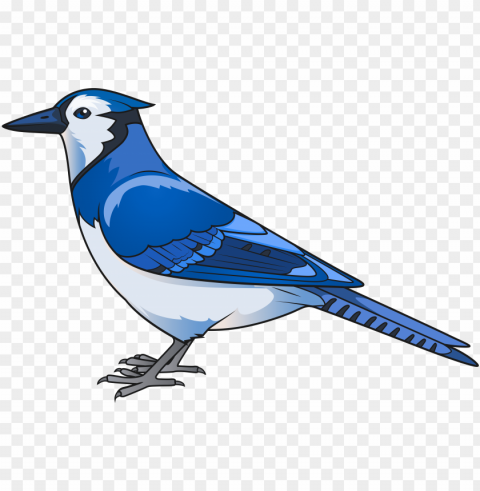 blue jay Transparent pics PNG transparent with Clear Background ID 972ad562