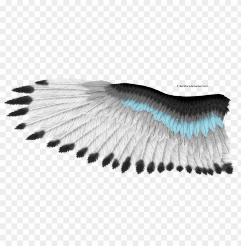 blue stripe eagle wing by k1ku-stock - eagle wi Isolated Subject in HighQuality Transparent PNG