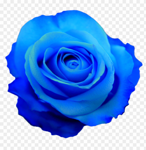 Blue Transparent Flower Crown PNG Graphics For Presentations