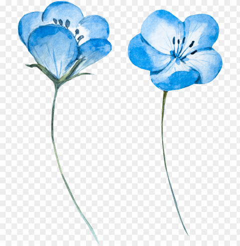 blue watercolor flower - baby blue flowers ico Transparent PNG images free download