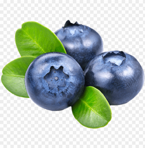 blueberries Isolated Design on Clear Transparent PNG