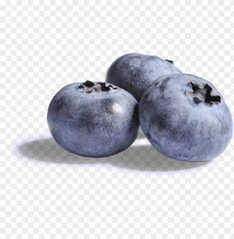 blueberries clipart - blueberries with no background Isolated Design Element in Transparent PNG