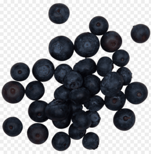 blueberries - smoothie HighResolution Isolated PNG with Transparency