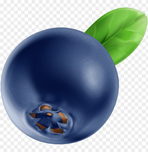 blueberry clipart Transparent PNG Isolated Element