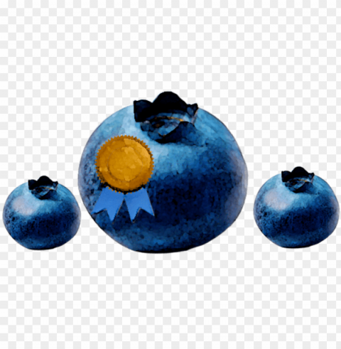 blueberry - jpe PNG transparent pictures for projects