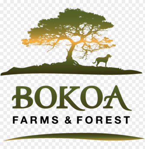 bokoa farms is a veteran-owned family farm and forest - bokoa farms and forest Clear PNG graphics