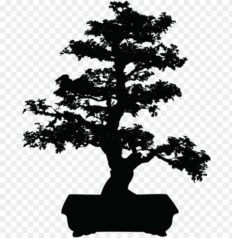bonsai tree clipart japanese bonsai tree clip art vector - bonsai tree black and white Transparent PNG images collection