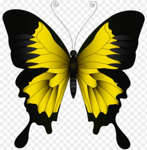 borboletas borboleta amarela e preta - green butterfly clip PNG art
