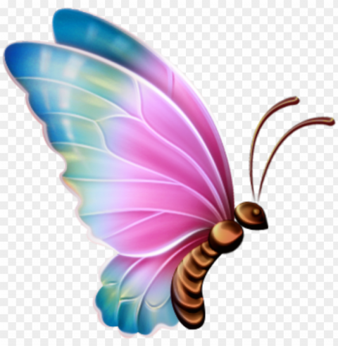 borboletas borboleta bonita colorida 11 - butterfly clipart background Isolated Subject with Transparent PNG