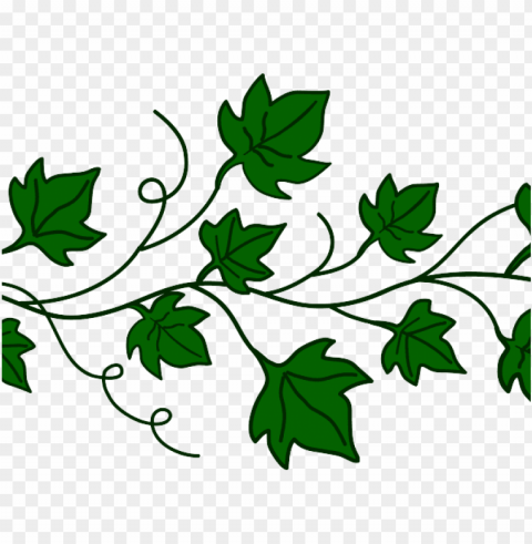 Border Clipart Ivy - Pumpkin Vine Clip Art PNG For Use