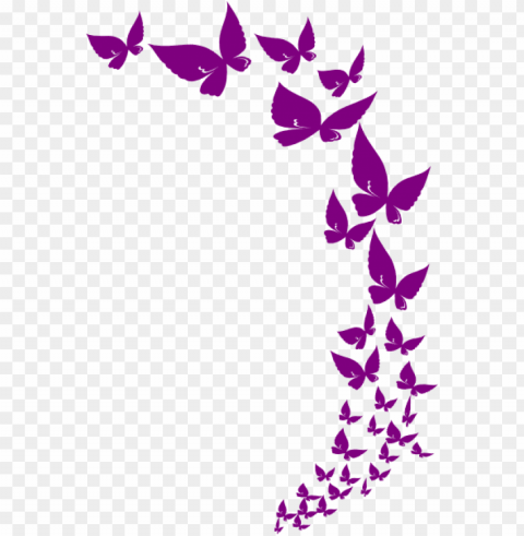 border line design butterfly download - butterfly border desi HighResolution PNG Isolated Artwork