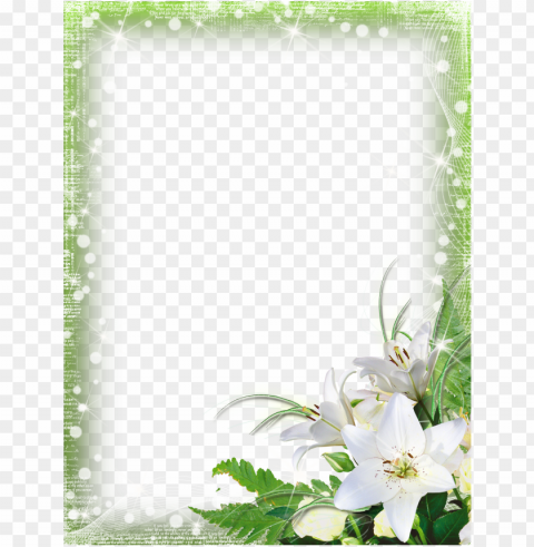borders and frames desi PNG transparent photos massive collection