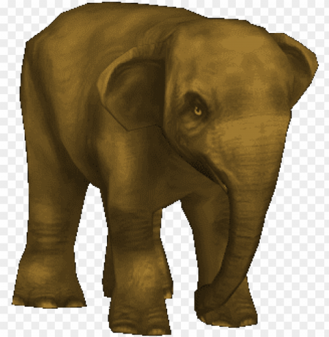 borneo pygmy elephant f2 PNG Image with Isolated Graphic Element PNG transparent with Clear Background ID daf682c3