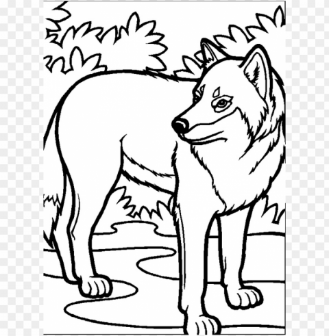 bosquejos para dibujar Un lobo PNG transparent vectors