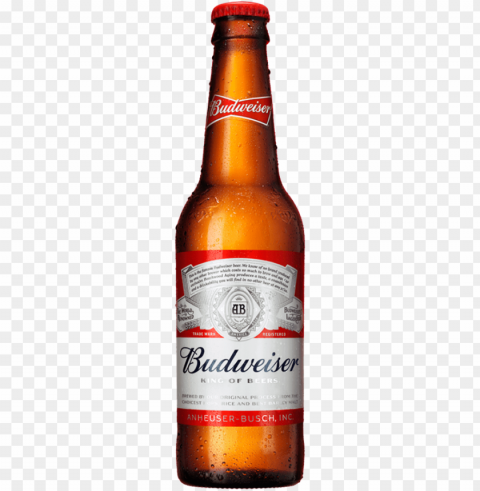 botella de budweiser cerveza colombiana - budweiser - 12 fl oz bottle PNG Image Isolated on Clear Backdrop