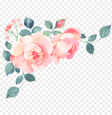 bougainvillea drawing watercolor graphic stock - romantic roses watercolor bouquet Isolated Design Element on Transparent PNG