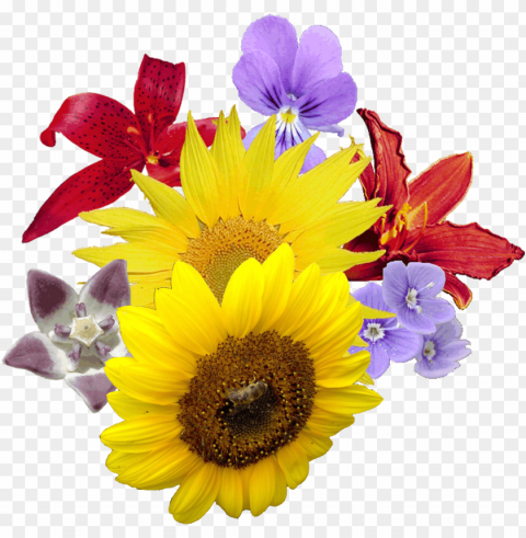 bouquet - mother's day in mex Transparent art PNG