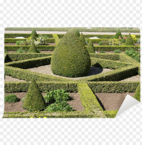 box hedges - hedge PNG photo without watermark
