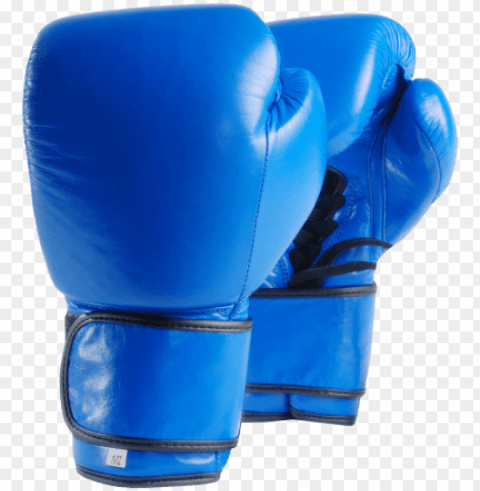 Blue Boxing Gloves on PNG Isolated Illustration with Clarity