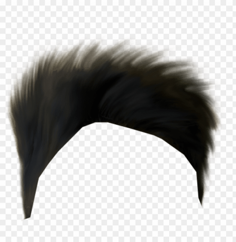 boy hair banner royalty free download - hair hd download PNG images with clear background